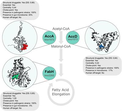 Integrating diverse layers of omic data to identify novel drug targets in Listeria monocytogenes